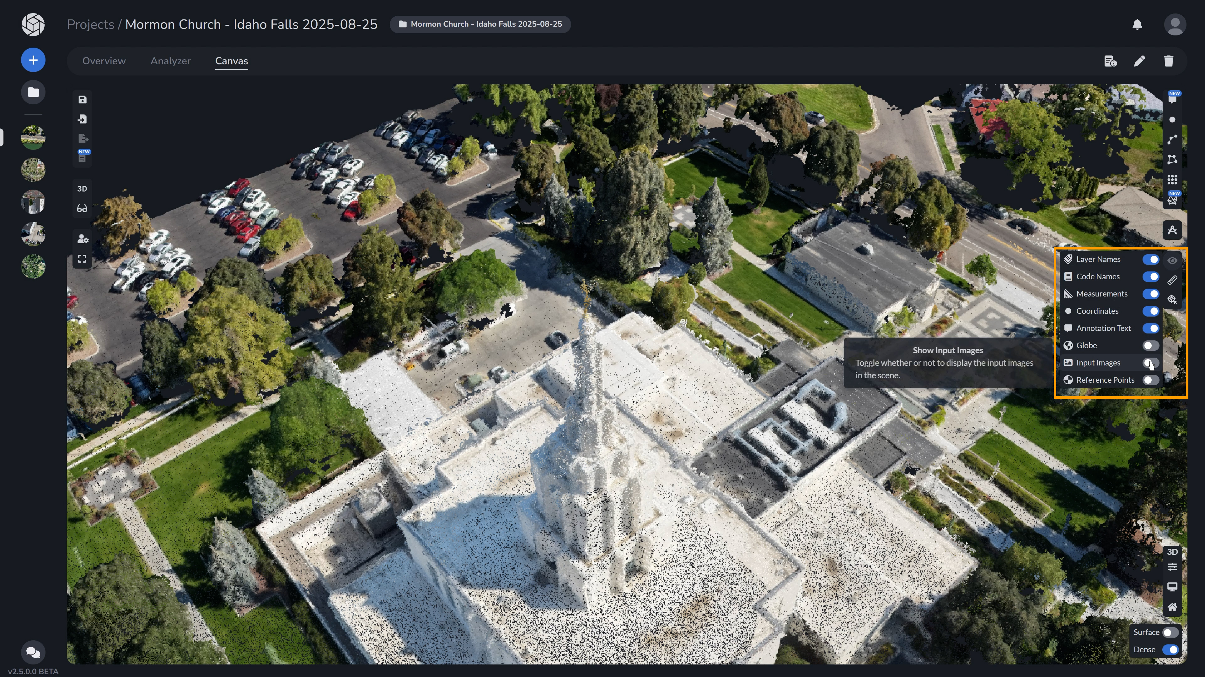 Enable Input Images